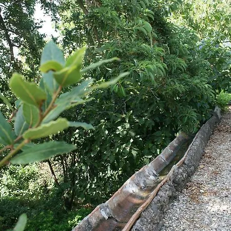 Dei Leoni Holiday home *