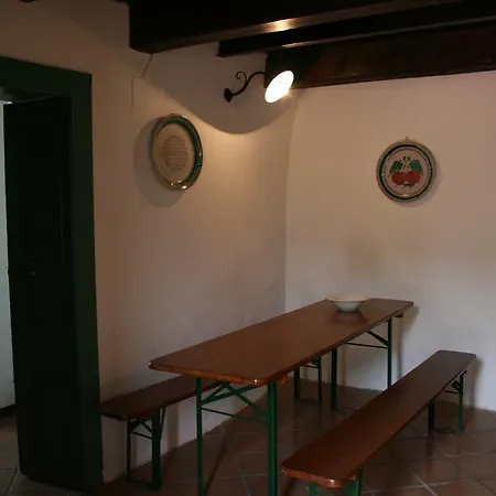 Dei Leoni Santa Tecla